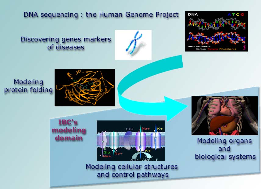 Biocomputing.jpg (76622 octets)